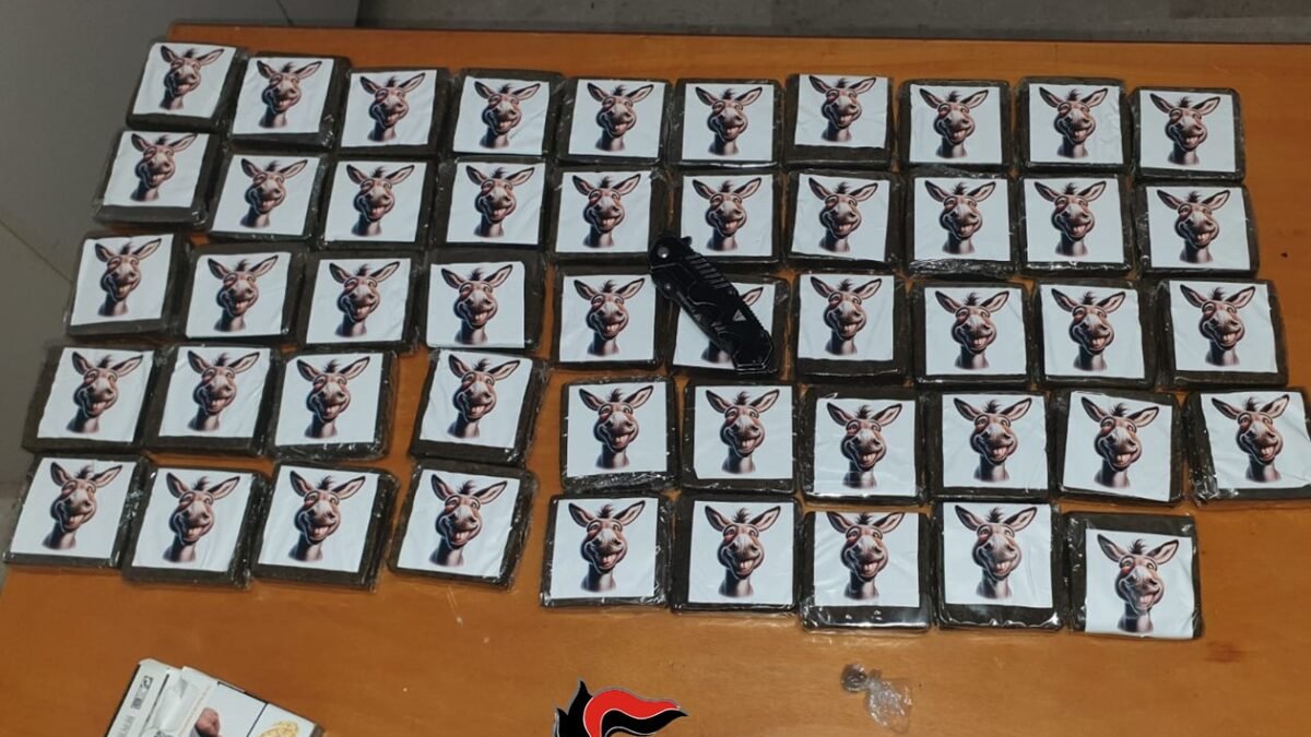 Trapani senza casco non si ferma allalt. nello scooter i carabinieri trovano 5 kg di hashish