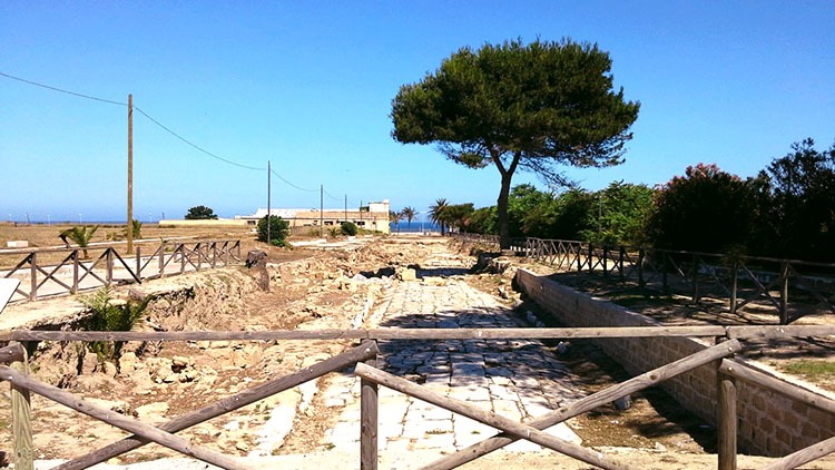 Marsala, e quel “viale” dentro al Parco