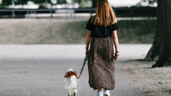 Marsala, ordinanza estiva per i proprietari di cani
