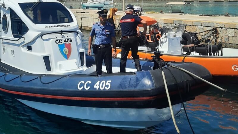 Salvate dai carabinieri 4 esemplari di tartaruga Caretta Caretta