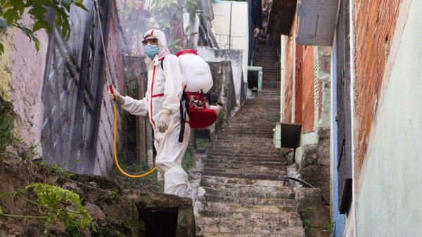 Disinfestazione a Erice dal 16 al 18 giugno 2025