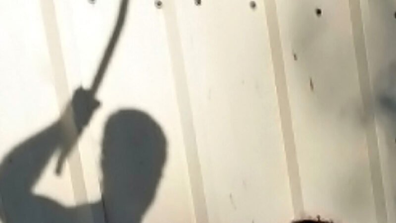 Madre picchia figlio drogato: finisce in ospedale