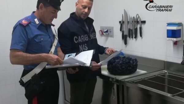 San Vito Lo Capo, controlli del Nas in attività commerciali