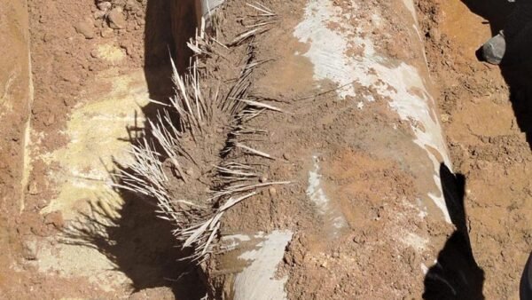 Emergenza idrica: la ditta che esegue i lavori dell’acquedotto Marsala, Mazara, Petrosino, squarcia un tubo della condotta