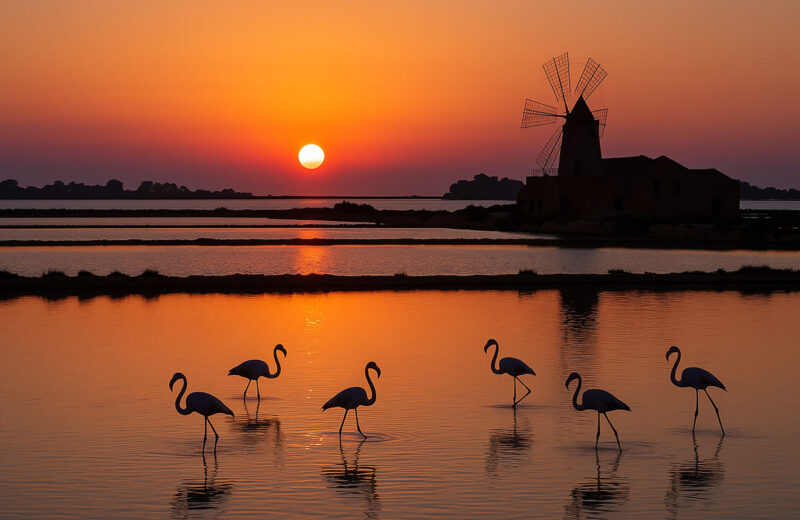 Tramonto sulle saline dello Stagnone a Marsala con fenicotteri in acqua e mulino a vento sullo sfondo.
