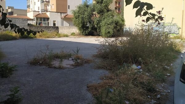 Spazio dedicato al verde pubblico? No, mancanza di pulizia da parte del Comune