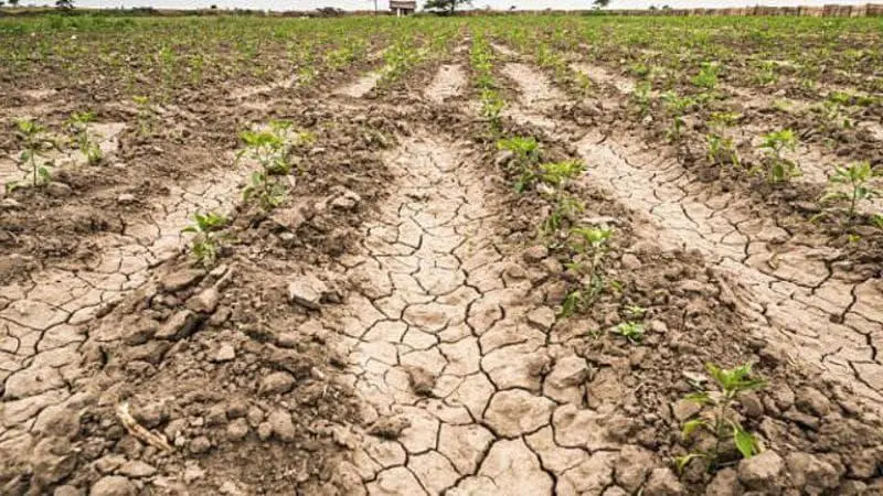 Crisi idrica in Sicilia occidentale, CNA denuncia fallimento gestione Governo regionale