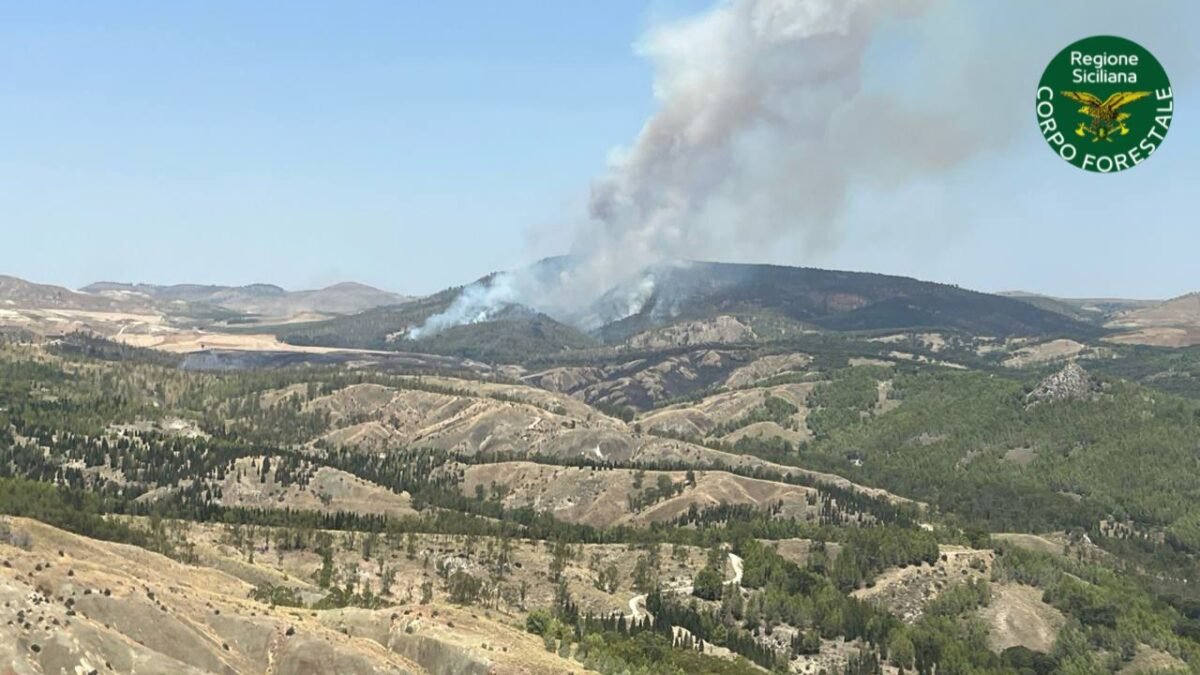 Mazzarino Incendio 14 luglio 2025