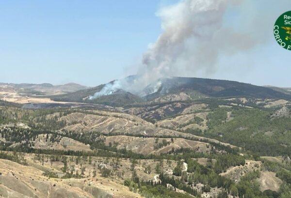 Incendi: la Regione fa il punto su quanto accaduto il 14 luglio nell’isola