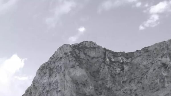 Libri: quando un ornitologo scoprì un cimitero di mafia