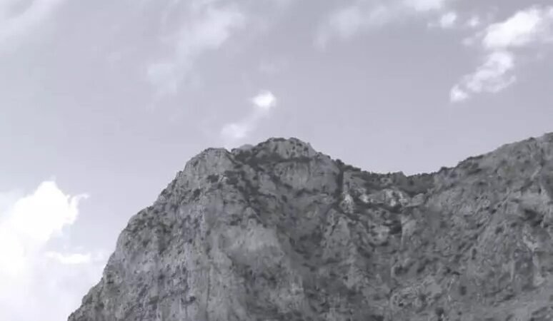 Libri: quando un ornitologo scoprì un cimitero di mafia