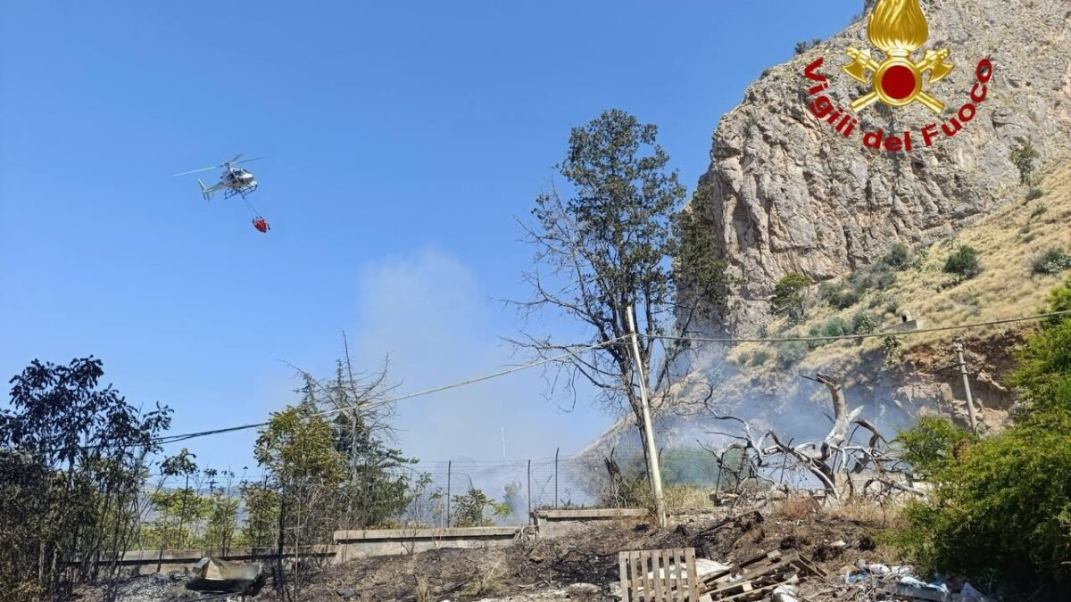 WhatsApp Image 2025 07 20 at 12.38.42