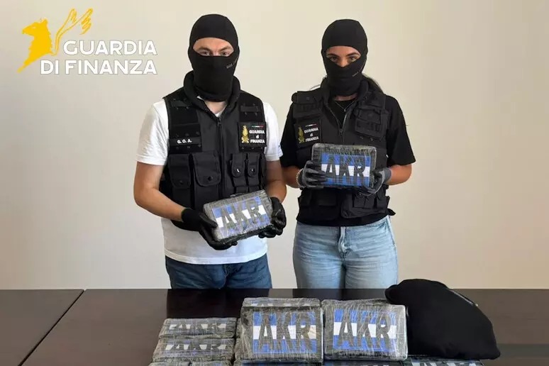 Due pacchi dalla Spagna con 24 chili di cocaina, un arresto