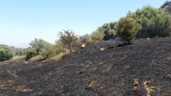 Morgantina, spento l’incendio all’interno del Parco archeologico