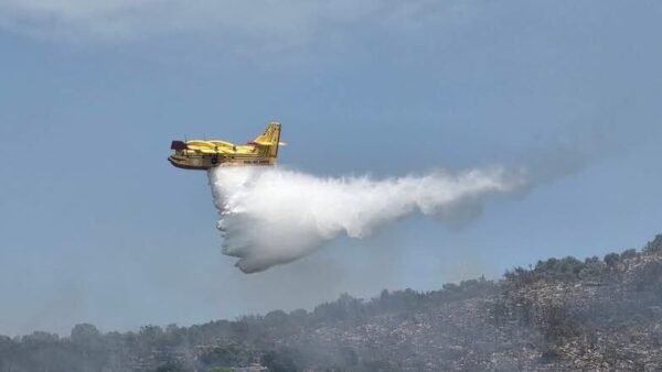 Fiamme a Burgio, a fuoco una area della riserva naturale orientata “Monti di Palazzo Adriano e Valle del Sosio”