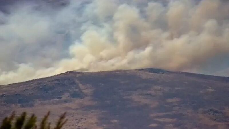 Sicilia in fiamme, nel trapanese il numero più alto di interventi