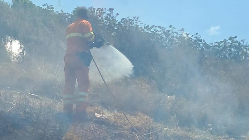 Alcamo: l’incendio di domenica in contrada Sasi, è doloso, trovato l’innesco