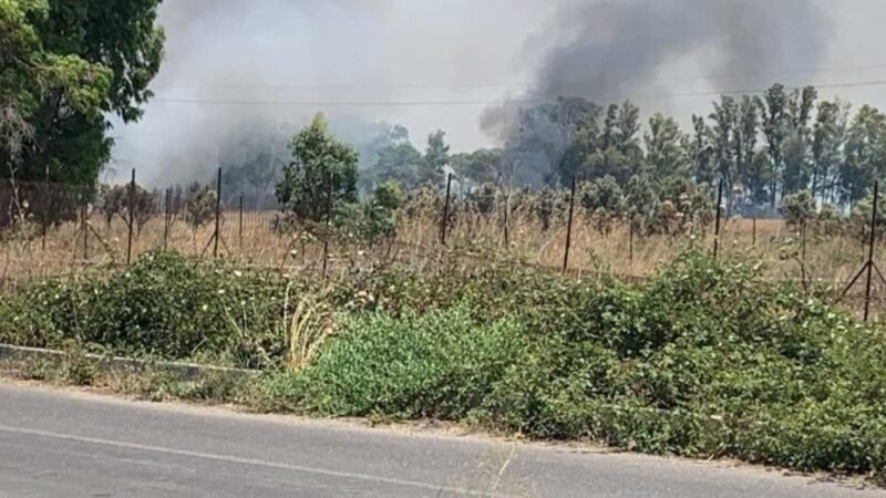 Incendio colpisce i terreni della cooperativa Beppe Montana – Libera Terra