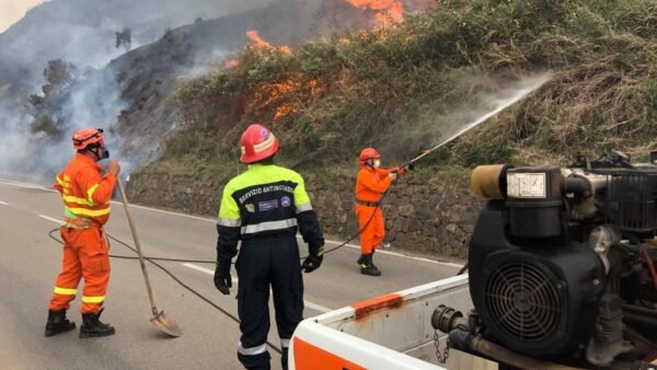 Protezione civile. In assetto antincendio decine di squadre di volontari attive in tutta la Sicilia