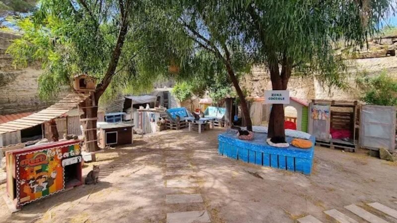 Sequestrata a Favignana “l’Oasi Felina” gestita dall’associazione Saie