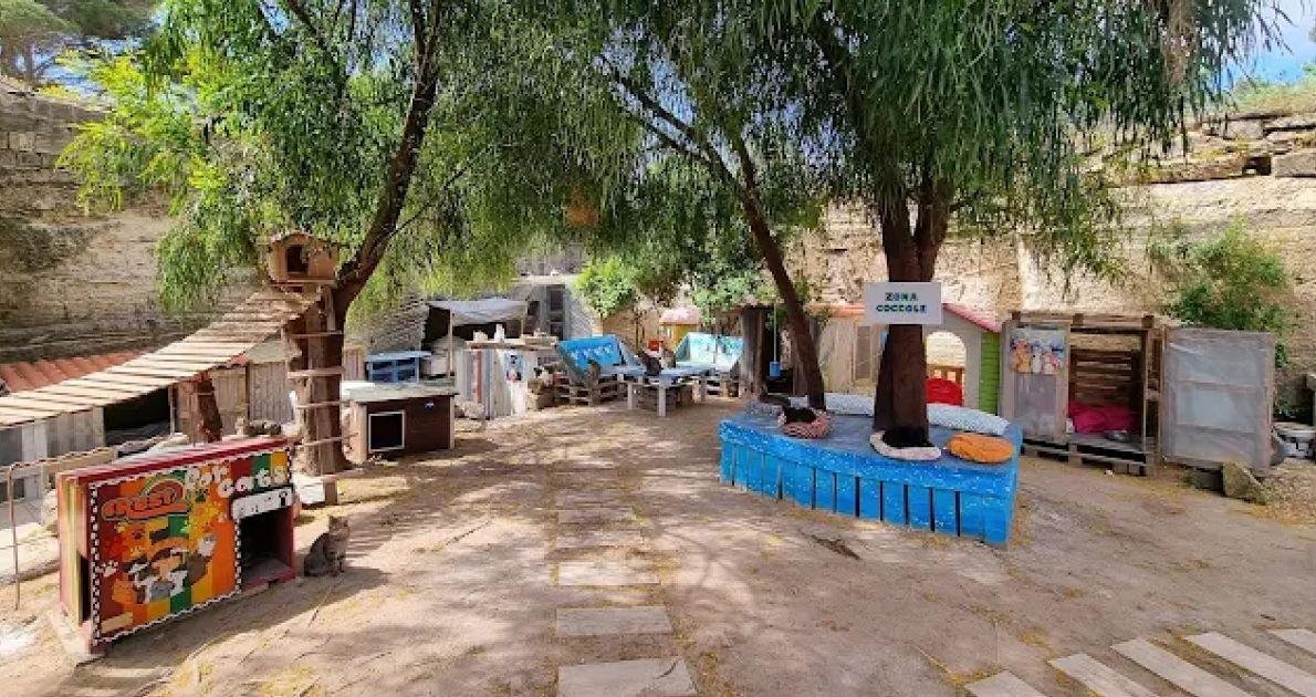 02 oasi felina favignana