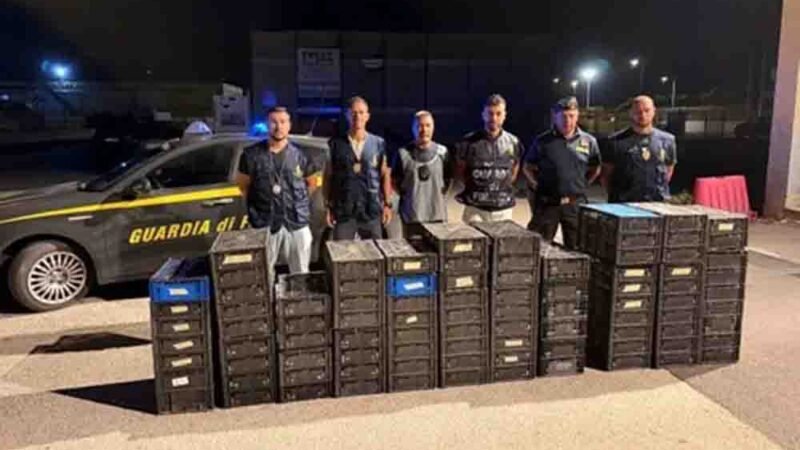 La finanza scopre a Ragusa traffico illegale di volatili per Malta