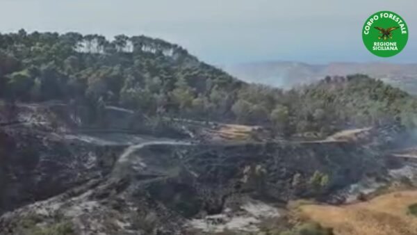 A Ribera in fumo mille ettari di bosco