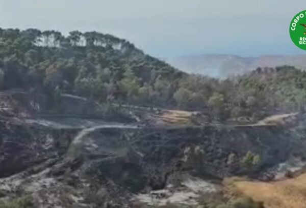 A Ribera in fumo mille ettari di bosco