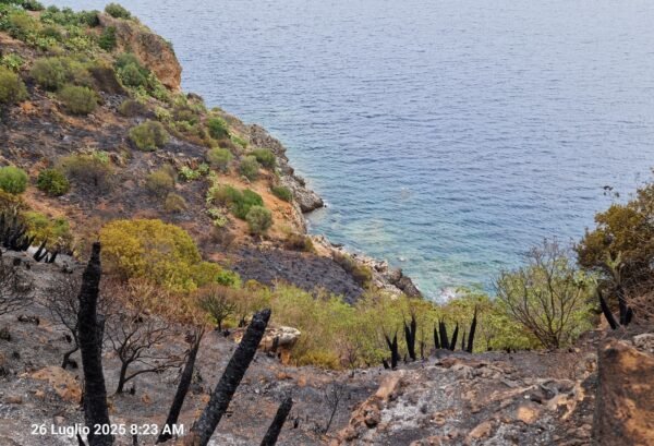 Riserva dello Zingaro