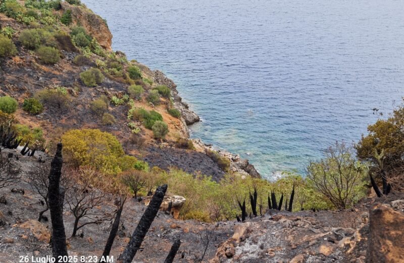 Riserva dello Zingaro