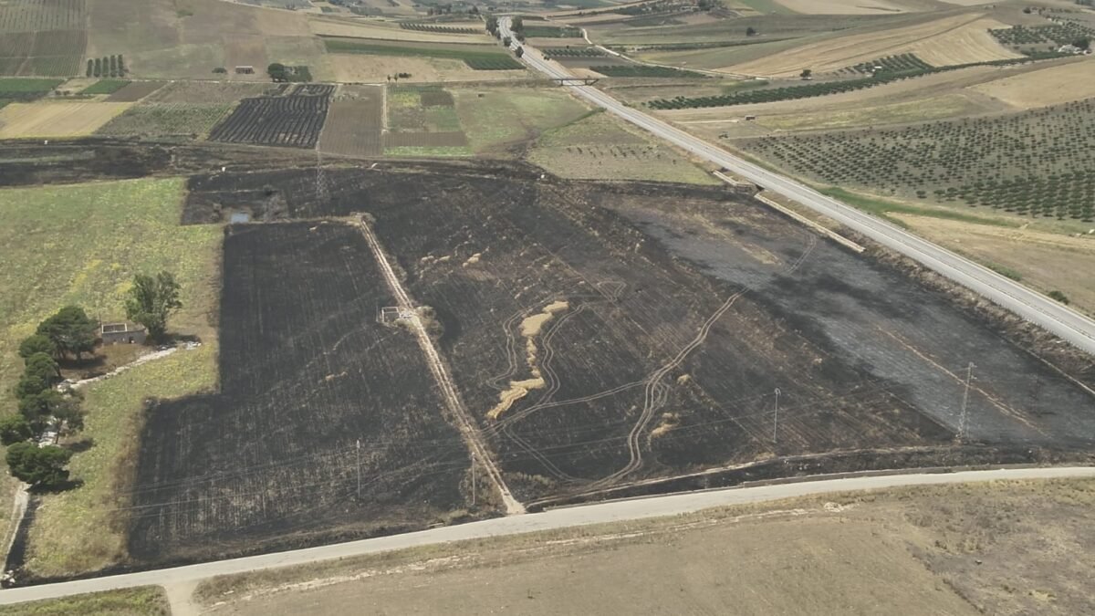 WhatsApp Image 2025 06 07 at 23.06.04