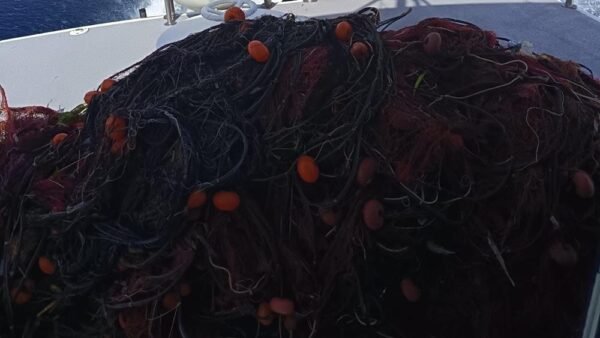 Favignana. Recuperate nei fondali dell’area marina protetta oltre 400 metri di reti abbandonate