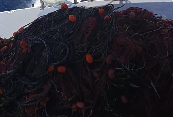Favignana. Recuperate nei fondali dell’area marina protetta oltre 400 metri di reti abbandonate