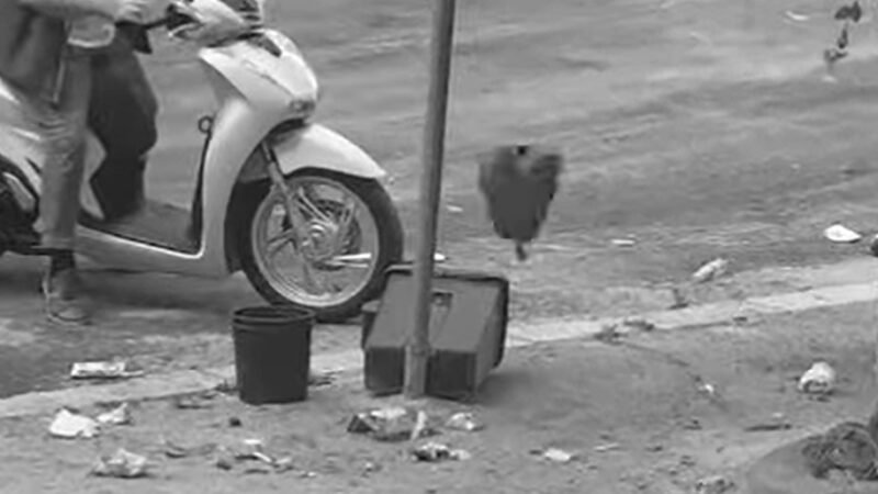 Erice, abbandono rifiuti. Nuove denunce, sanzioni e sequestro mezzi