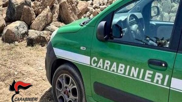 Marsala, sversa rifiuti e alla vista dei carabinieri tenta la fuga