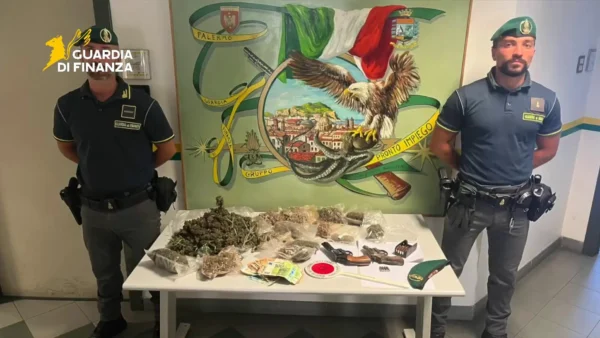 Sequestrata piantagione di cannabis indoor e 2 pistole, in manette due persone