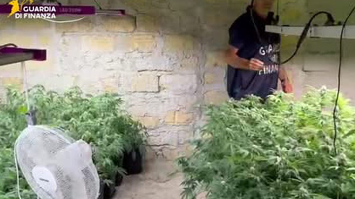 guardia di finanza bolognetta2