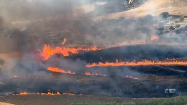 Incendi nel pomeriggio nella zona di Paceco e Buseto Palizzolo, entrambi per fortuna spenti