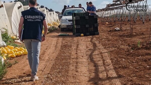 Servizio di contrasto al fenomeno del caporalato nel trapanese