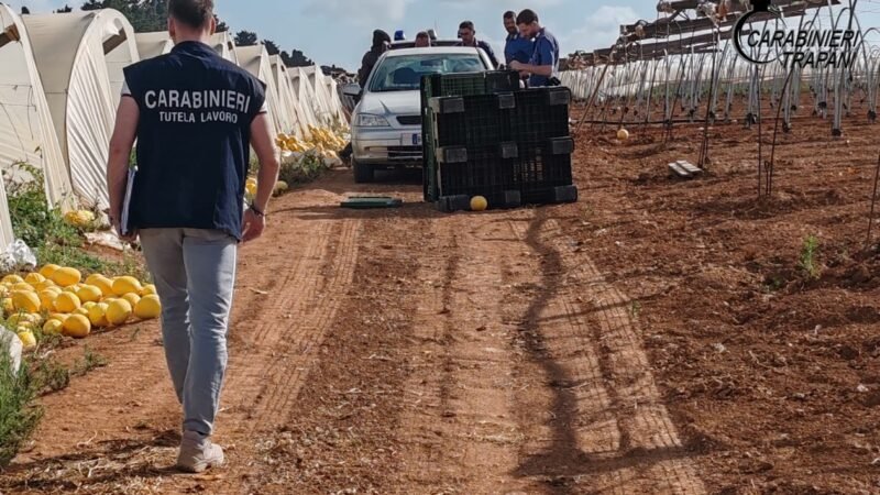 Servizio di contrasto al fenomeno del caporalato nel trapanese