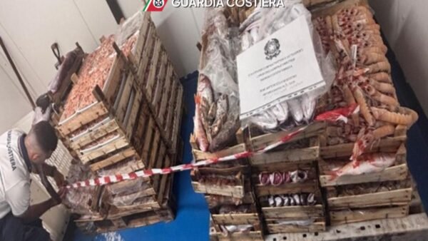 Guardia Costiera. Sequestrati attrezzi irregolari e tre quintali e mezzo di prodotto ittico
