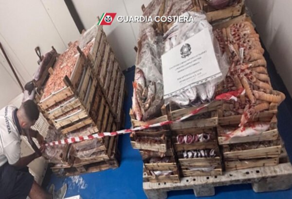 Guardia Costiera. Sequestrati attrezzi irregolari e tre quintali e mezzo di prodotto ittico