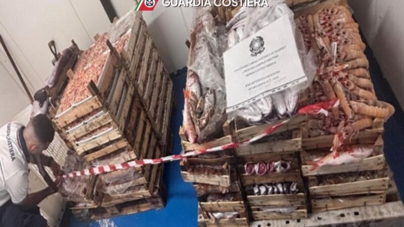 Guardia Costiera. Sequestrati attrezzi irregolari e tre quintali e mezzo di prodotto ittico