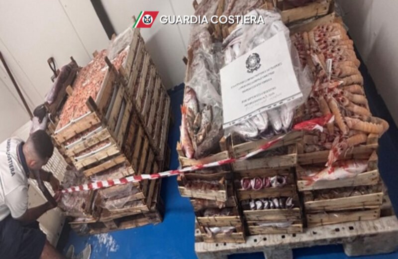 Guardia Costiera. Sequestrati attrezzi irregolari e tre quintali e mezzo di prodotto ittico