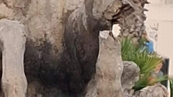 Vandalizzata nella notte la Fontana del Tritone, uno dei simboli più rappresentativi di Trapani
