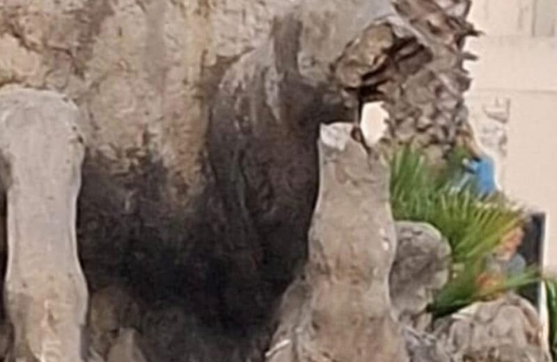 Vandalizzata nella notte la Fontana del Tritone, uno dei simboli più rappresentativi di Trapani