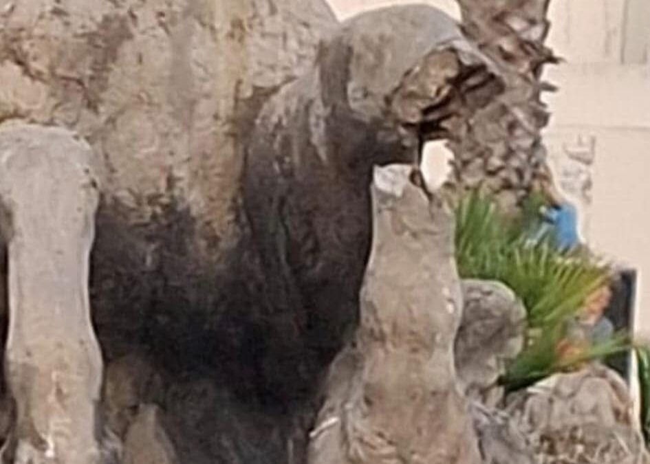 WhatsApp Image 2025 09 09 at 10.44.01