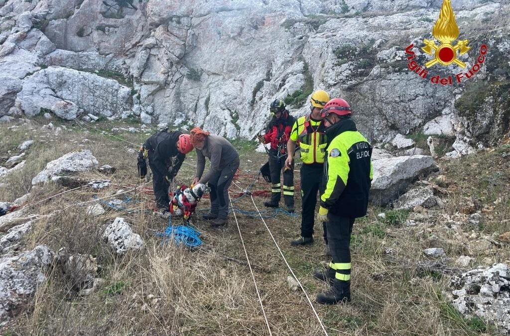 WhatsApp Image 2025 09 29 at 11.41.39