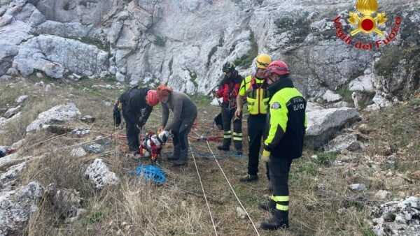 Intervento dei vigili del fuoco del Saf per salvare un cane
