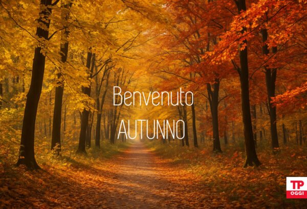 Benvenuto autunno, foresta con foglie gialle e arancioni